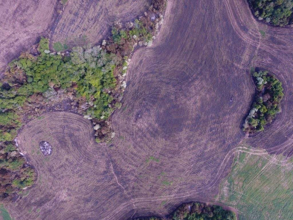 Foto aérea de lavoura